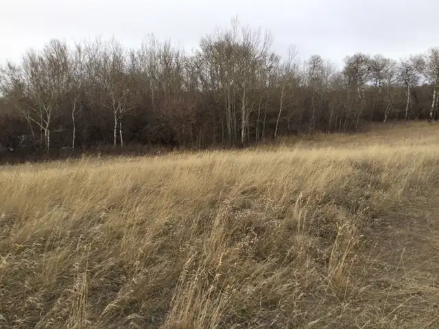 Acreage land for sale in Land for Sale in Saskatoon - Image 8