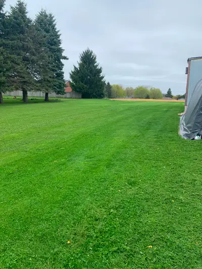 Spring Cleanup / Yard Cleanup / Leaf Removal - Free Quotes, View more