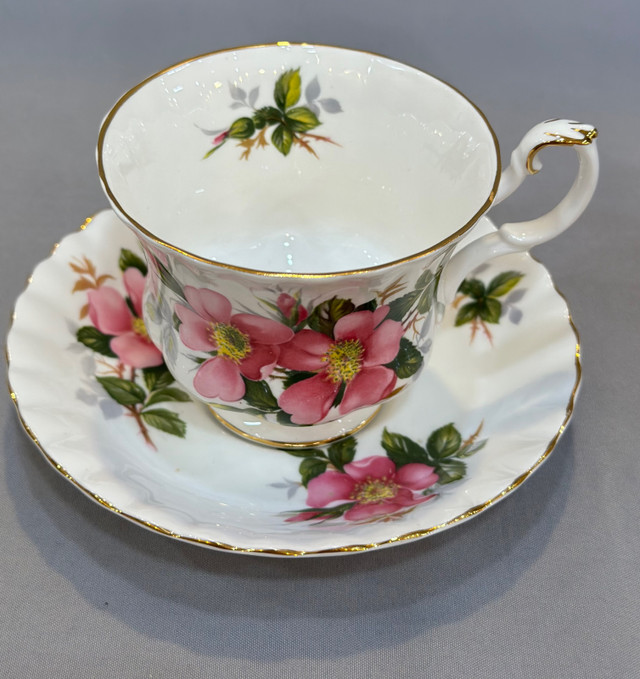 Prairie Rose Royal Albert tea cup and saucer- Made in England $2 in Kitchen & Dining Wares in Hamilton