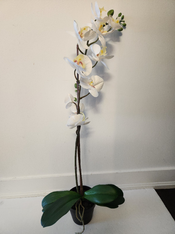 IKEA Artificial potted plant, Orchid white in Home Décor & Accents in City of Toronto - Image 2