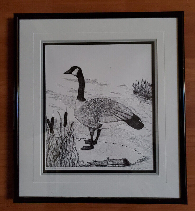 PHIL TAILLEUR - LIMITED EDITION PRINT - CANADA GOOSE in Arts & Collectibles in Burnaby/New Westminster