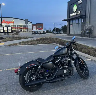 Harley Davidson Sportster Iron 883 motorcycle: Year of production: 2019 Clicks/km: 11,700 All black...