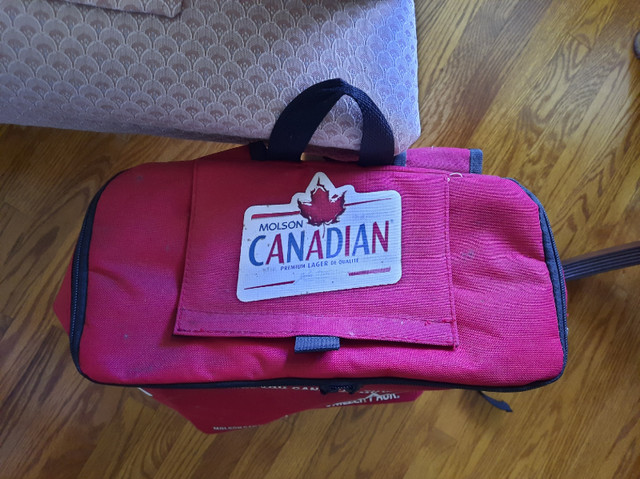 Molson Canadian 24-can backpack collector's item in Arts & Collectibles in Oshawa / Durham Region - Image 4