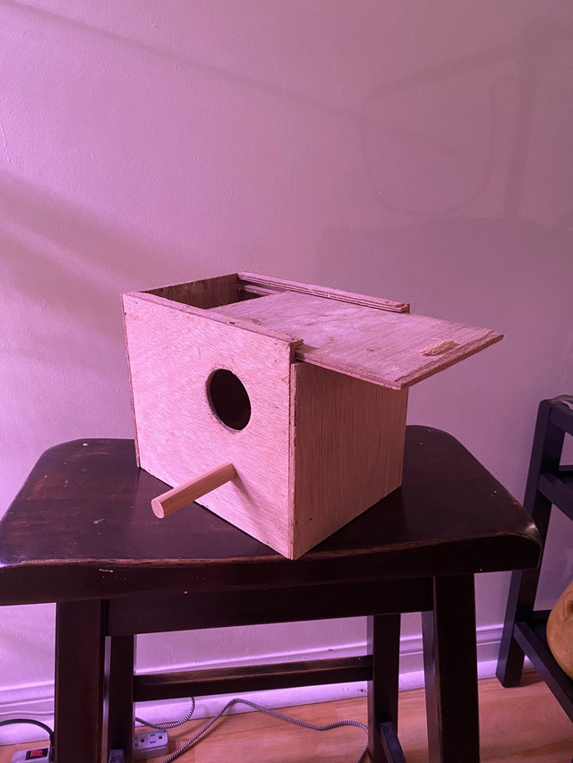 Nesting box  in Birds for Rehoming in City of Toronto - Image 3
