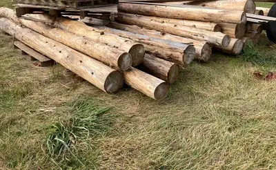 Taking orders on cedar fence posts. Small batch of nice clean peeled posts 10-12’ long various diame...