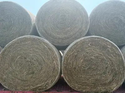 Hay For Sale, View more