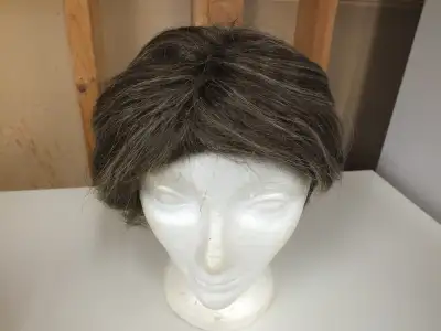 PETITE LADIES WIG EXCELLENT CONDITION WIG HAS AN ADJUSTABLE SIZE FEATURE $25.00 CALL/TEXT 306-717-54...