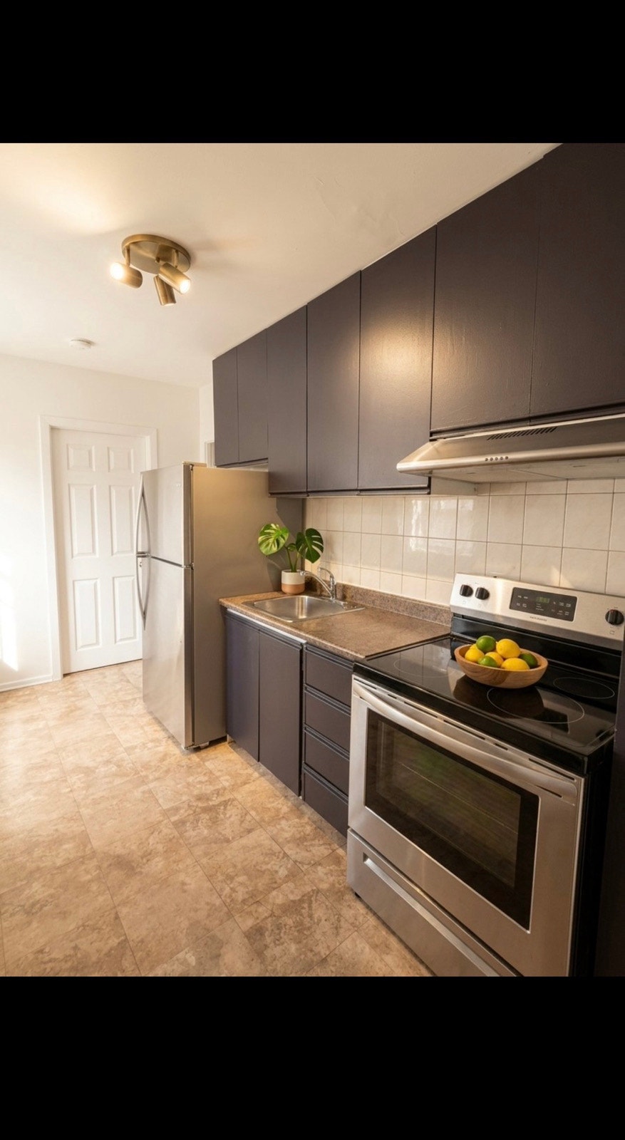 16220 Rue Delphis-Delorme — photo 3