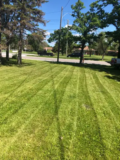 spring cleanup starting soon, View more