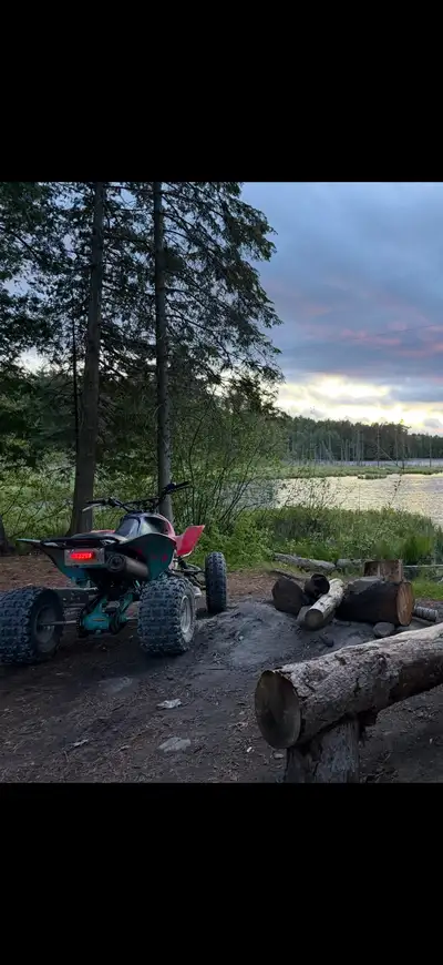 Quad runs great and Is very fast. Ready to ride just start and go. Always used premium fuel. Some ne...