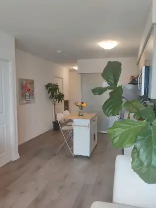 Minimalist, Clean and Fresh Condo
