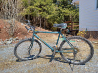Vintage Cromoly-steel Mountain Bike