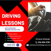 Driving Lessons - Pass Easily- MTO Approved Driving Instructor!