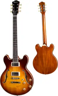 WANTED: EASTMAN T184MX GUITAR