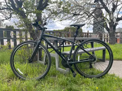 Giant escape 3 Bike Aluminium, View more