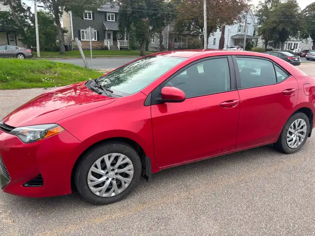 2019 Corolla low kms569252877551554561