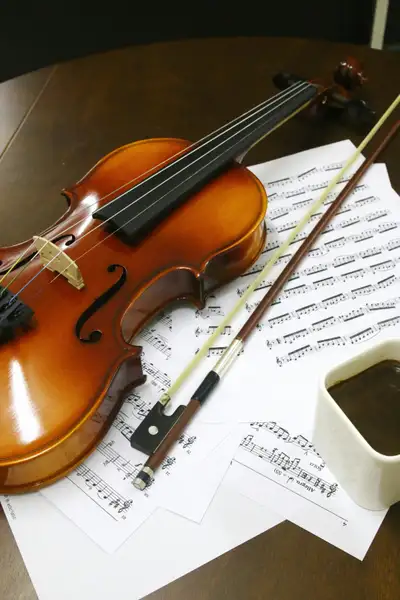 Violin Lessons for Beginners to Intermediate, View more