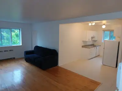 BEAU grand 4½, CDN, LIBRE près HEC, Ste-Justine, Hôpital Juif