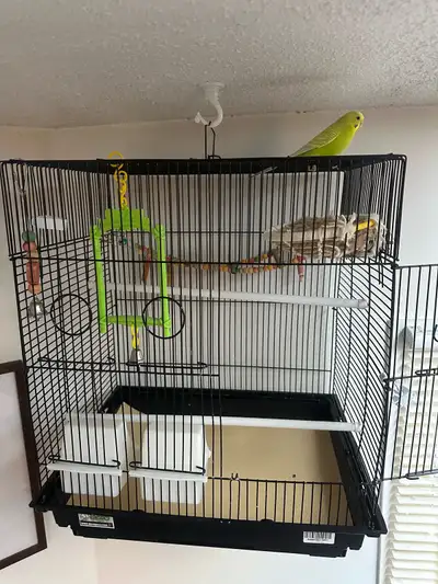 Budgie and Cage, View more