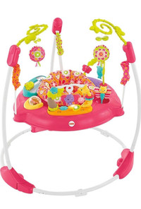 Fisher-Price Jumperoo Baby Bouncer and Activity Center