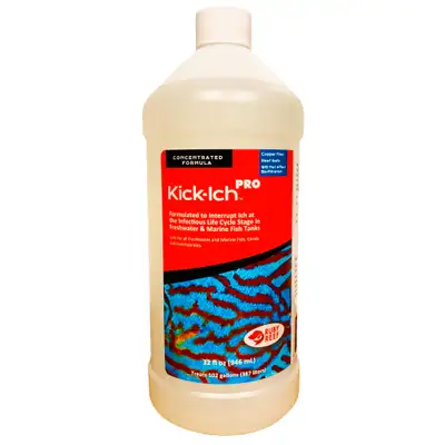 Kick-ich & Rally pro NEW, Voir plus