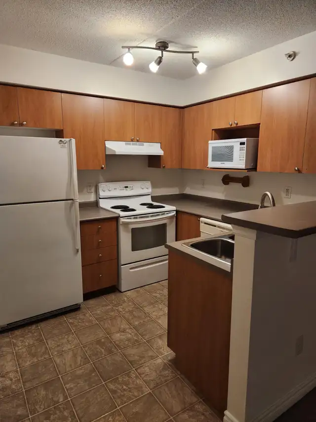 **** MILTON CONDO FOR RENT **** AVAIL. IMMED. in Long Term Rentals in Mississauga / Peel Region - Image 5