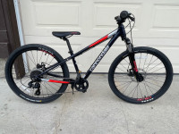 Cannondale Trail 24