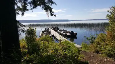 WHITETAIL DEER/WOLF, BLACK BEAR, UPLAND BIRDS, FISHING 5 township allocations in Zone 66 for non-res...