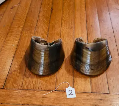 horse hooves, View more
