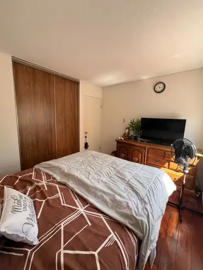 Availability from September 1s. Multiple Rooms available for rent, one small and 2 medium sized room...
