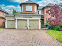 6 Bedrm 6 Bth | Warden/16th Ave