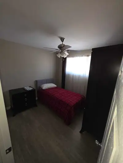 Room for rent in Mayfield main floor, single bed, night table, wardrobe. Wifi and all utilities incl...