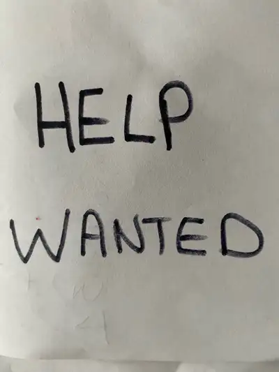  looking for someone to load haul junk to dump, View more