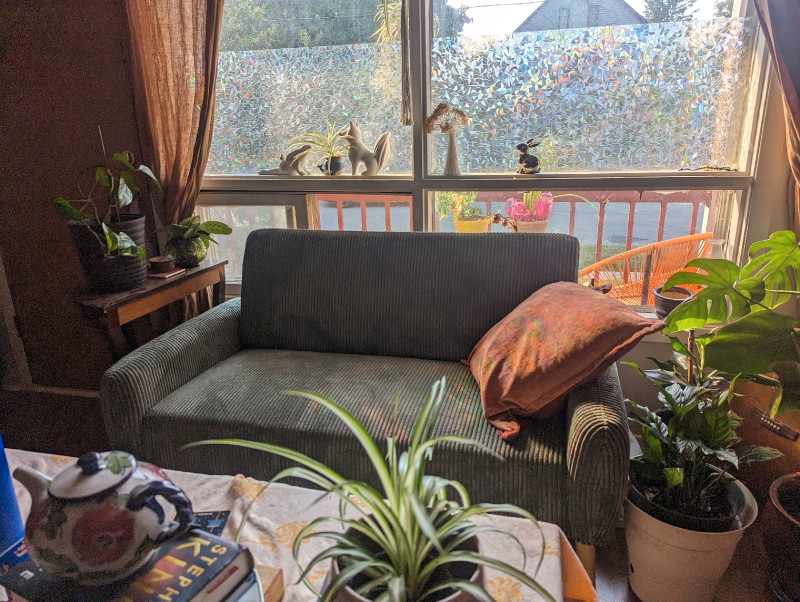 putting out feelers1 bedroom in shared apartment Room Rentals