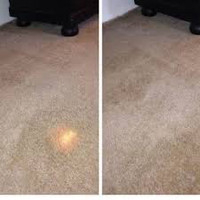 Best Carpet Repair and Installation Services