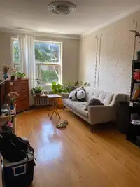 Bright Apartment in plateau sublet