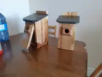 Custom built Nest Box Birdhouse
