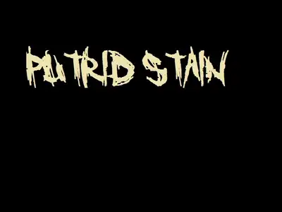 Metal band "Putrid Stain" seeking lead guitarist, View more