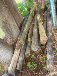 poteaux de bois d'une ancienne clôture