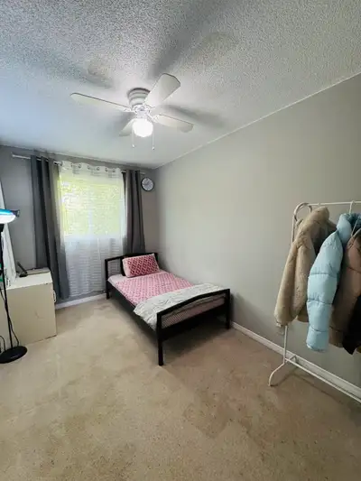 1 private Bedroom available in a 3 bedroom house