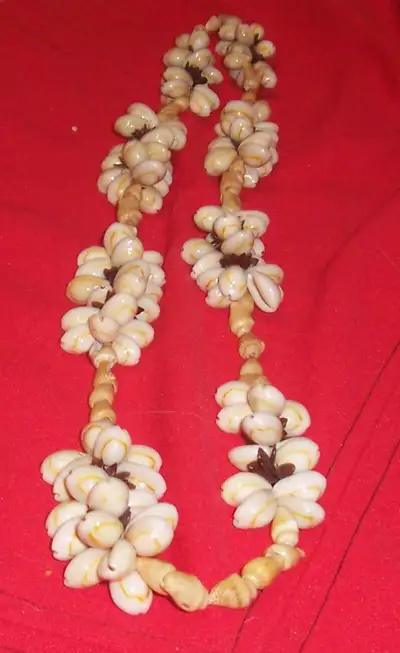 Vintage Cowrie Shell Lei Hawaiian Necklace Genuine  Hawaii, View more