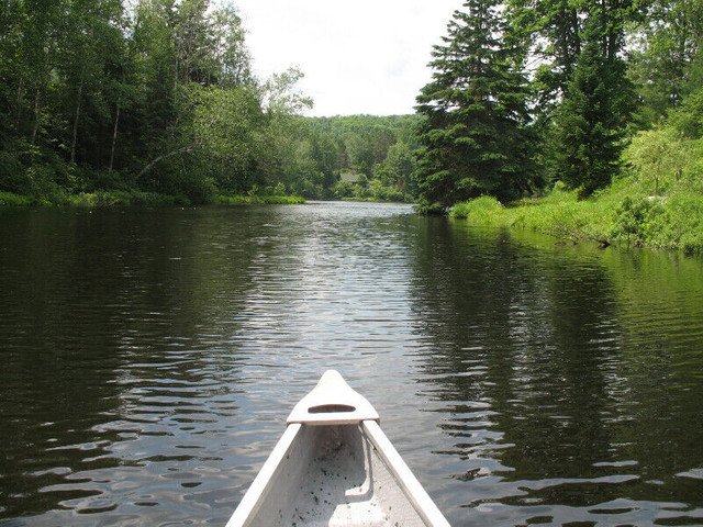 Terrain résidentiel à vendre, Lac Bellemare à St-Mathieu-du-Parc dans Terrains à vendre  à Shawinigan - Image 3