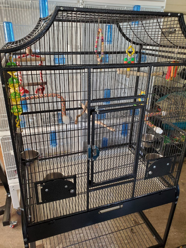 Big Bird Cage in Accessories in Burnaby/New Westminster