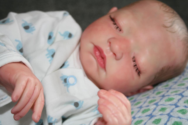 Reborn doll Issac for sale  in Arts & Collectibles in Grand Bend