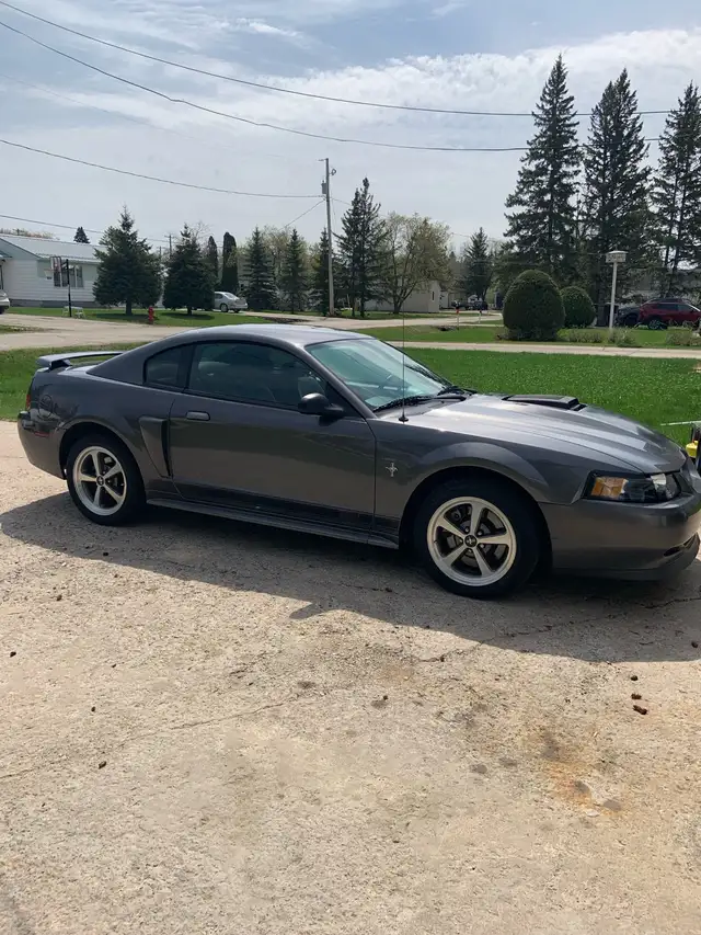 2003 Mustang Mach 1544786020042035202