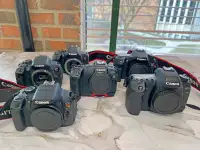Canon Camera's Huge Sale!