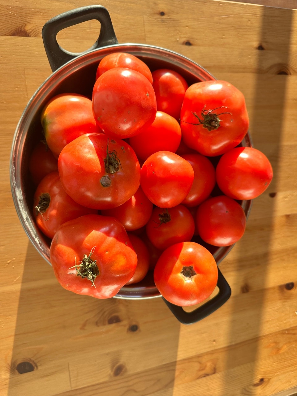 fresh organic garden tomatoes | Other | Napanee | Free local ...