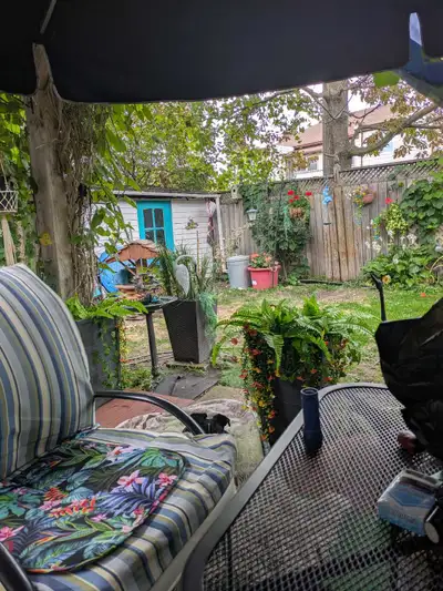 I am a 62 year old female looking for a mature responsible long term roommate to share my sublet 2 b...