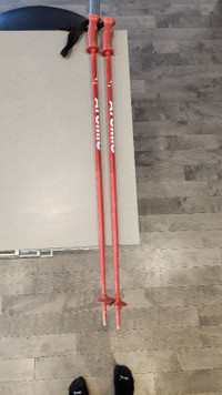 Bâtons de ski enfant / Kids ski poles
