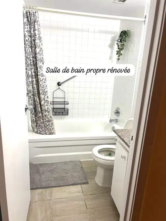 CESSION DE BAIL - GRAND STUDIO 1145$  PROCHE METRO ET REM in Long Term Rentals in City of Montréal - Image 9